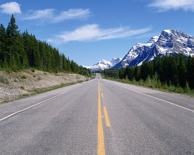 風景如畫的荒蕪高速公路 聲屏障下的靜謐與回響